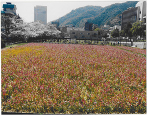 熊内低層配水場ワイルドフラワー緑花業務（神戸）